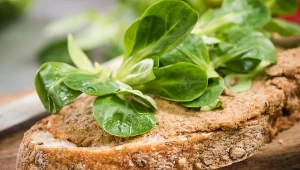 Zamień ulubioną sałatę na roszponkę. Korzyści będzie co niemiara