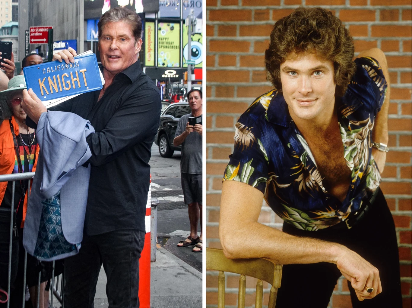 David Hasselhoff. David Hasselhoff.