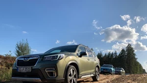 Subaru Forester i XV – hybrydy na wertepy, łąki i pola