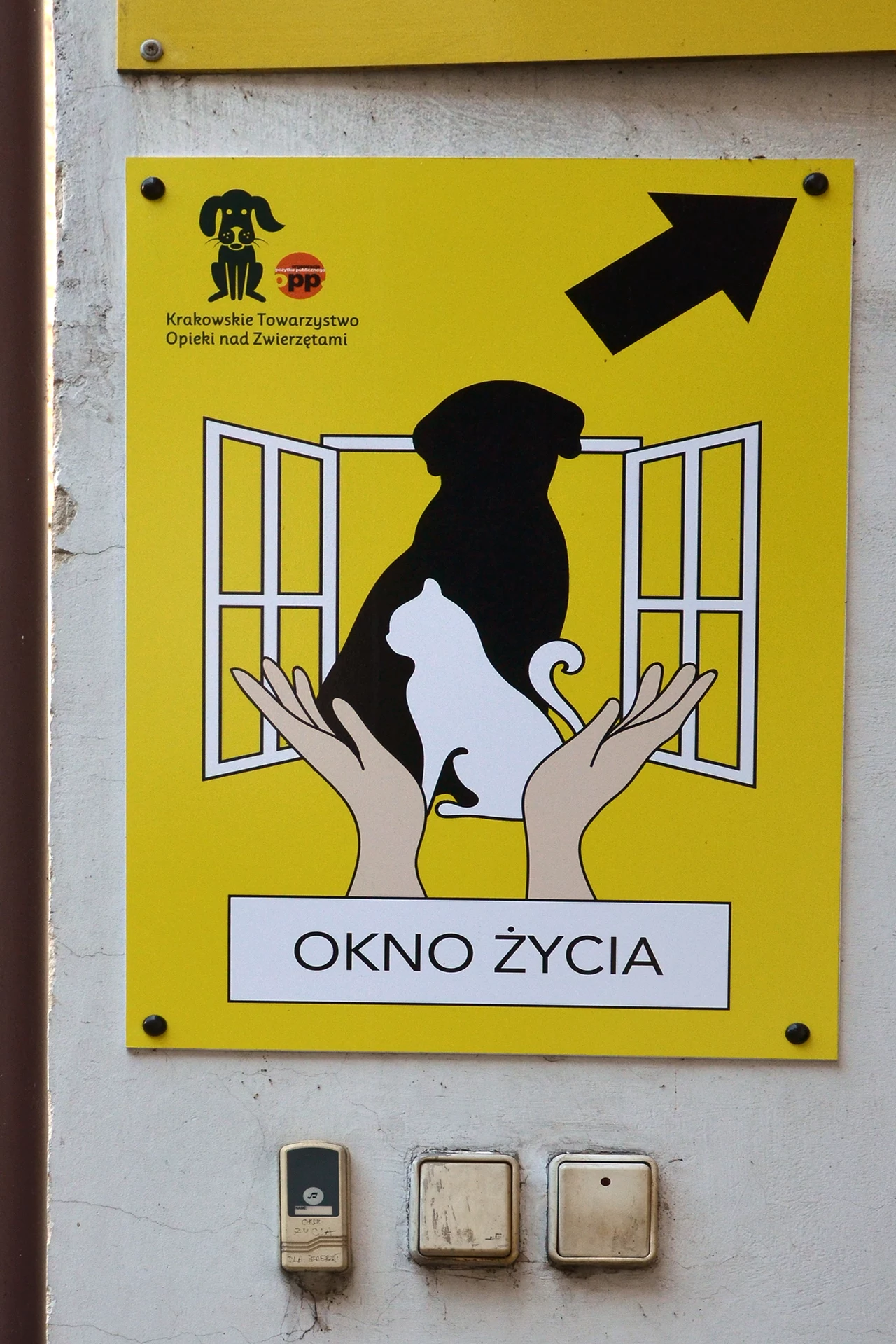 Krakowskie Towarzystwo Opieki nad Zwierzętami Krakowskie Towarzystwo Opieki nad Zwierzętami