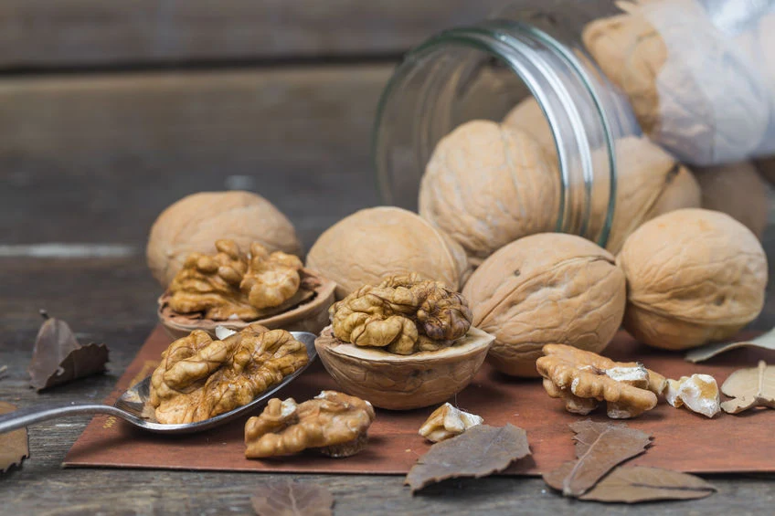 Orzechy włoskie mają największą spośród wszystkich orzechów zawartość antyoksydantów, które dbają o młodość komórek mózgowych