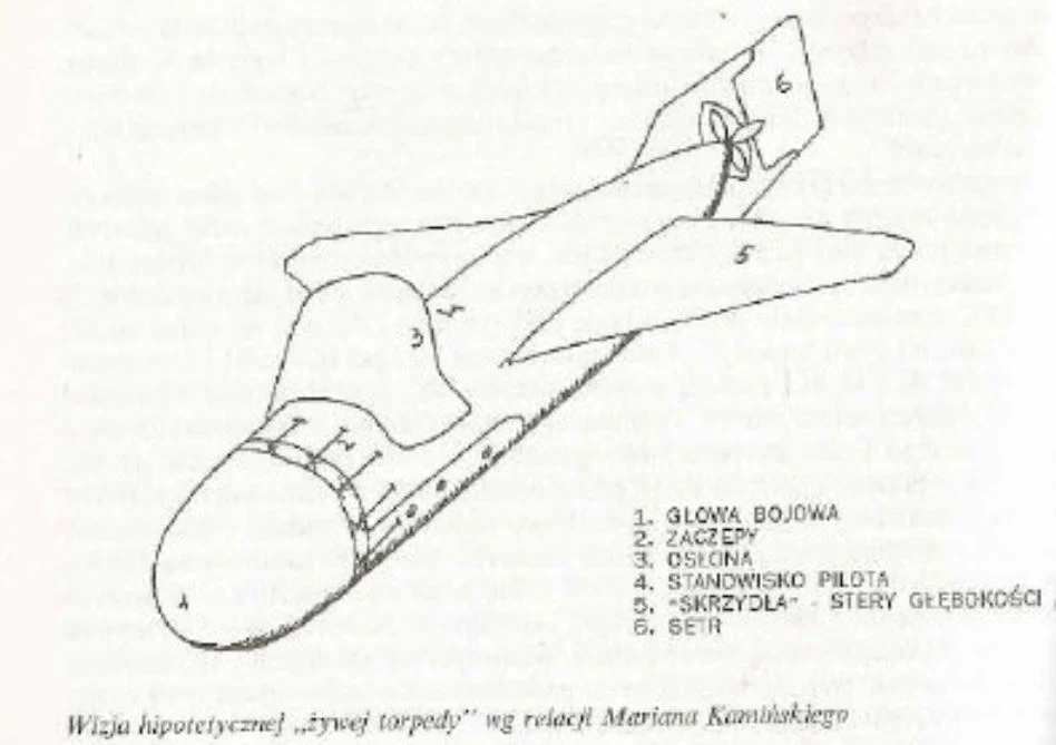 Wkrótce po ukazaniu się listu, w prasie zaczęły napływać tysiące odpowiedzi od ochotników do samobójczych oddziałów. Tylko do samego "Ilustrowanego Kuriera Codziennego" wpłynęło ponad 1000 zgłoszeń. Wszystkie zostały przekazane do Ministerstwa Spraw Wojskowych. Do dziś w Centralnym Archiwum Wojskowym znajduje się ponad 3000 zgłoszeń. 