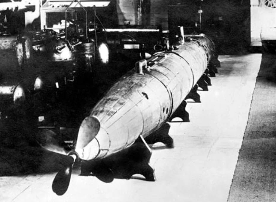 Jeden z ochotników, Jan Szumiata, tak wspominał te wydarzenia: "Wybraliśmy się z Wołajowic do Gdyni we dwóch, razem z Edziem Sykulskim. Na miejscu, w Dowództwie Marynarki Wojennej powitali nas bardzo serdecznie. Tak jak wszystkich, którzy zgłosili się tego dnia w Gdyni. A sporo nas było. Jakiś oficer przemawiał i zapewniał, że w odpowiednim momencie zostaniemy wezwani. Opowiadał też o samej torpedzie, jej budowie, uprzedzając jednocześnie, że jak ktoś raz do niej wejdzie, to dla niego odwrotu już nie ma [...]. Tylko nie chcieli nam jej pokazać. Kazali wracać do domu i czekać na wezwanie."