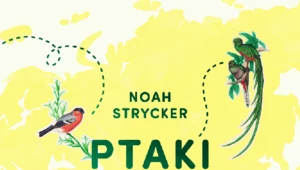 Ptaki nie znają granic, Noah Strycker