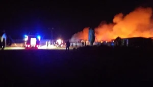 W pożarze chlewni zginęło ponad 2,5 tysiąca świń