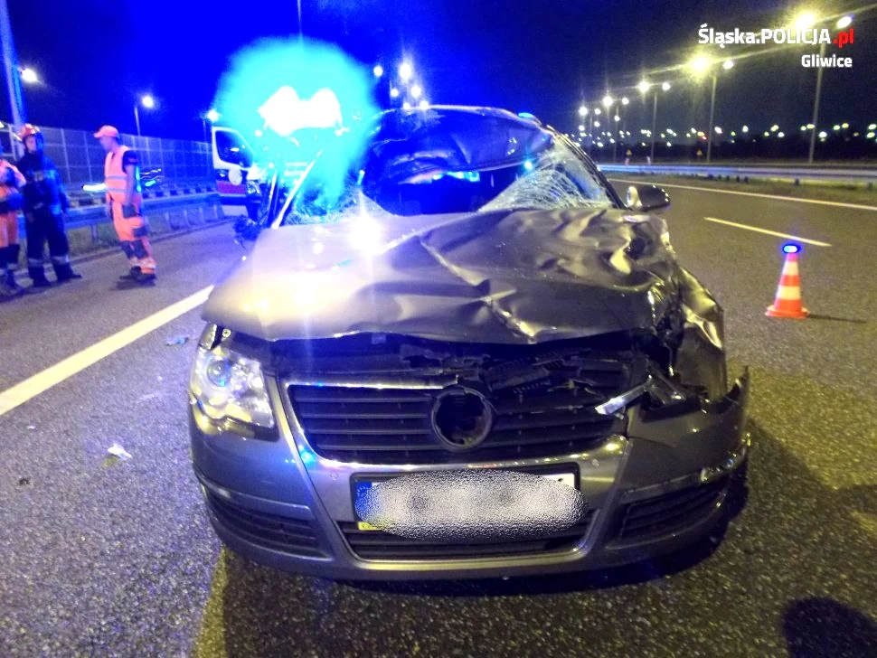 Do zderzenie z jeleniem doszło na autostradzie A4