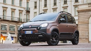 Fiat Panda Trussardi. Wersja "luksusowa"