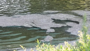 Tak wyglądała woda w Wiśle tuż przy brzegu po awarii "Czajki"