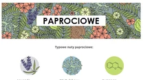 W 1882 firma Houbiugant Parfum wprowadziła perumy Fougère Royale. Ta kompozycja lawendy, mchu dębowego i kumarynu zrewolucjonizowała świat perfum tak bardzo, że przyczyniła się do powstania zupełnie nowej rodziny zapachów. Francuskie słowo " fougère" faktycznie oznacza paproć, ale nazwa ta jedynie symbolizuje, co zapachy z tej grupy próbują odtworzyć- tajemniczy i ziemisty zapach zielonej, wilgotnej puszczy. Paprociowe perfumy i wody kolońskie do dziś cieszą się olbrzymią popularnością wśród mężczyzn. Ta rodzina obejmuje poniższe grupy zapachów: Paprociowe, Kwiatowo-piżmowo-paprociowe, Słodko-piżmowo-paprociowe, Korzenno-paprociowe, Aromatyczno-paprociowe, Owocowo-paprociowe.