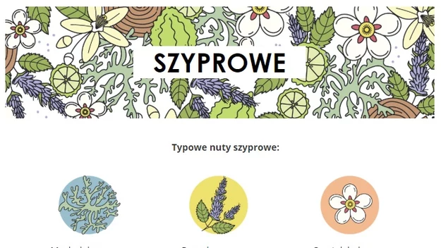 To kolejna rodzina nazwana od perfum- François Coty z 1917r., które przeszły do historii. Zazwyczaj kompozycje cytrusowych nut głowy, jak bergamotka, nutach serca z ladanum oraz drzewno- mochowej bazy. Oryginalna formuła perfum Coty znajduje się w Osmotheque. Ta rodzina obejmuje poniższe grupy zapachów: Szyprowe, Szyprowo-owocowe, Szyprowo-kwiatowo-aldehydowe, Szyprowo-skórzane, Szyprowo-aromatyczne, Szyprowo-zielone, Szyprowo-kwiatowe.