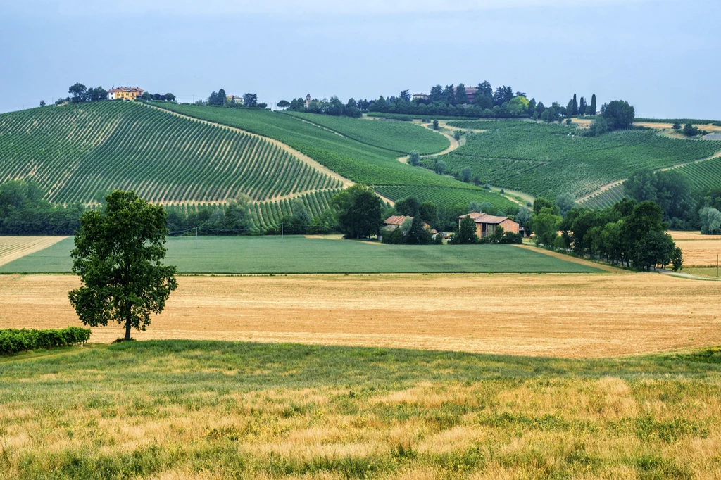 Emilia Romania jest jednym z najbardziej żyznych terenów we Włoszech