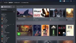 Steam