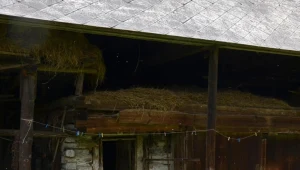 Gospodarstwo, w którym znaleziono zagłodzone zwierzęta.