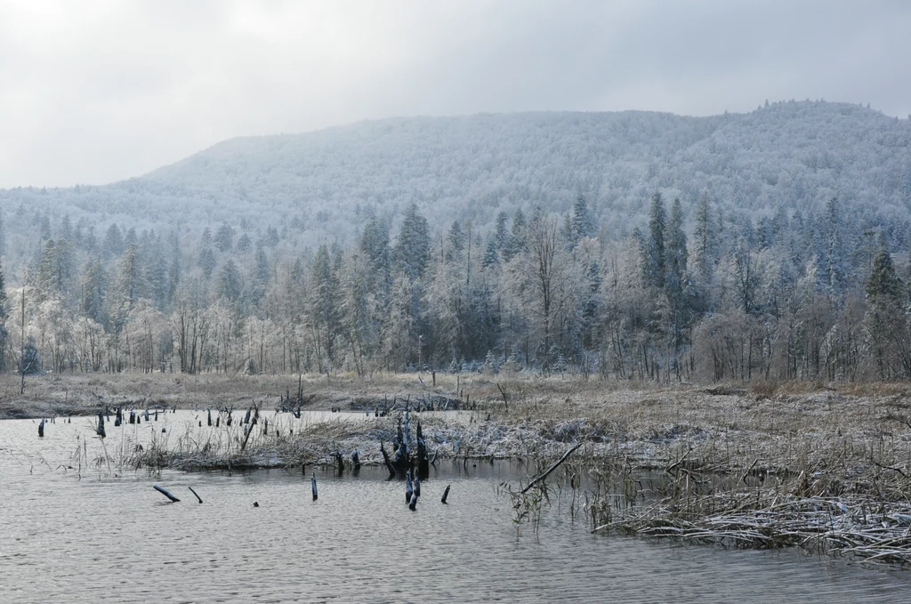 Bieszczady zachwycają nie tylko dziką naturą...