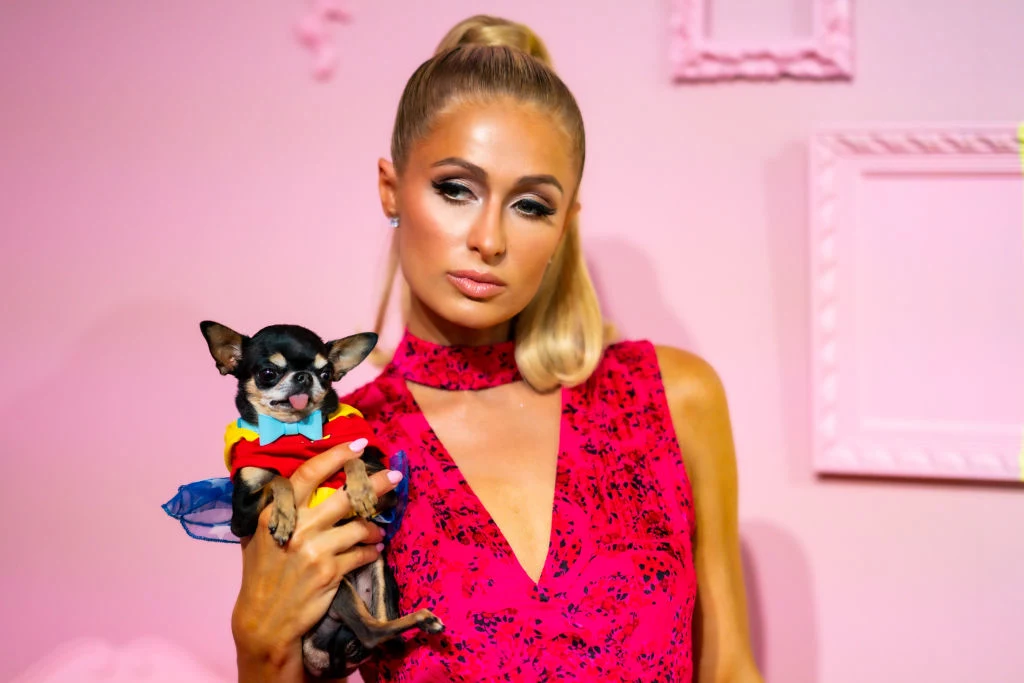 Piękna amerykańska celebrytka i modelka - Paris Hiltion uwielbia polować na żaby, które żyją wokół jej rancza. Ma na ich punkcie prawdziwą obsesję. Paris jest znana ze swojej działalności na rzecz zwierząt, dlatego w wywiadach podkreśla, że żaby łapie w humanitarny sposób. Oczywiście wypuszcza płazy z powrotem na łono natury. Piękna amerykańska celebrytka i modelka - Paris Hiltion uwielbia polować na żaby, które żyją wokół jej rancza. Ma na ich punkcie prawdziwą obsesję. Paris jest znana ze swojej działalności na rzecz zwierząt, dlatego w wywiadach podkreśla, że żaby łapie w humanitarny sposób. Oczywiście wypuszcza płazy z powrotem na łono natury.