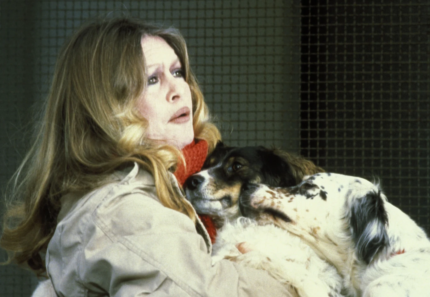Bardot zajmowała się także obroną fok, piętnowała kolejno: walki byków, polowania, ogrody zoologiczne, przemysł hodowlany i futrzarski. Walczyła też o wprowadzenie zakazu spożywania koniny i wciąż ma nadzieję, że przed śmiercią osiągnie ten cel.