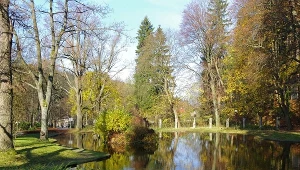 Staw; zdj. ilustracyjne