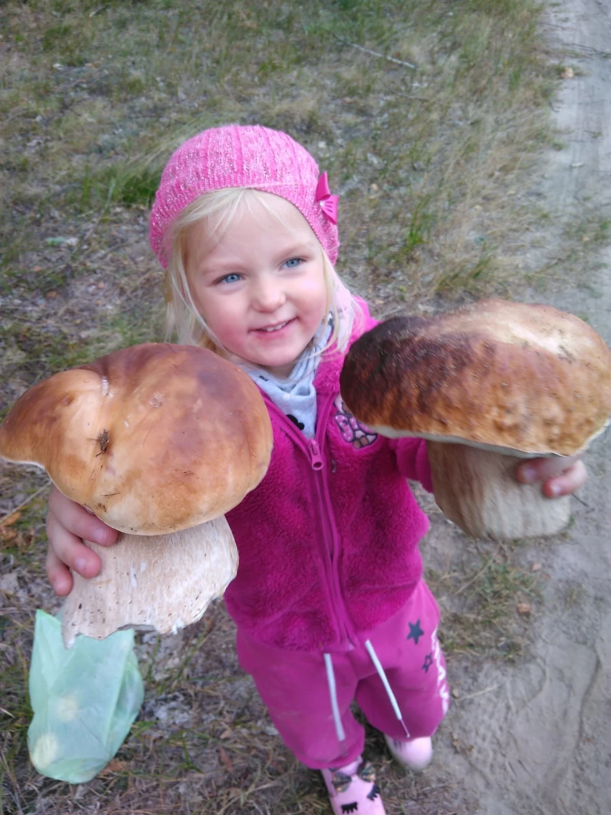 "Pierwsze zbiory w życiu i takie okazy!" - pisze do nas Lutek, zamieszczając zdjęcie swojej pociechy "Pierwsze zbiory w życiu i takie okazy!" - pisze do nas Lutek, zamieszczając zdjęcie swojej pociechy