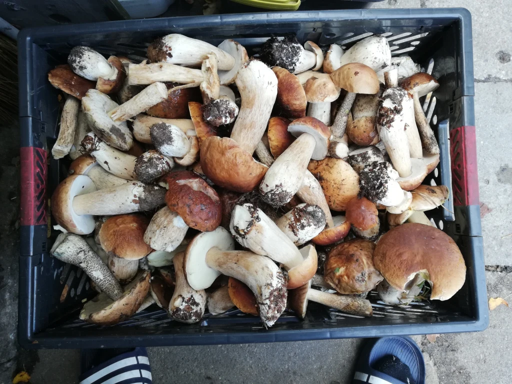 Mariusz pisze krótko: "Moje zbiory" Mariusz pisze krótko: "Moje zbiory"