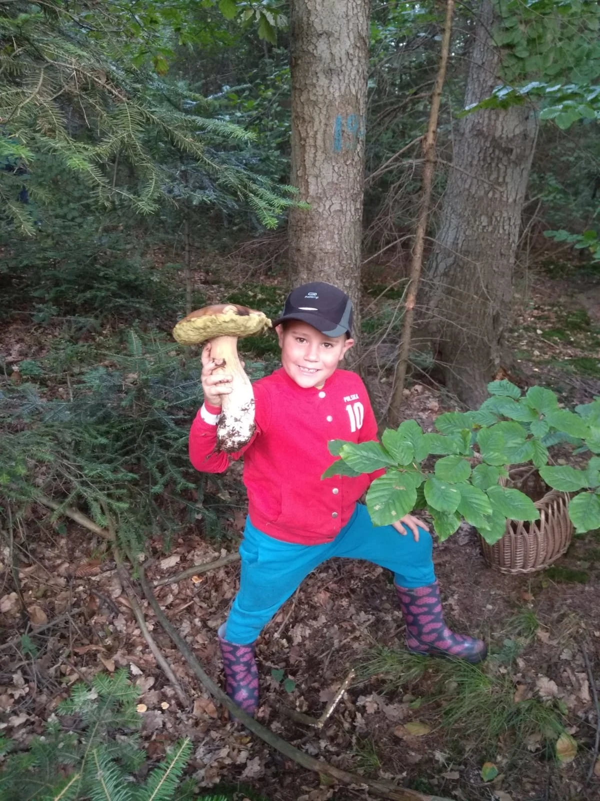Pisze Beata: "Takie oto zbiory i mój mały grzybiarz na południu polski, powiat myślenicki" Pisze Beata: "Takie oto zbiory i mój mały grzybiarz na południu polski, powiat myślenicki"