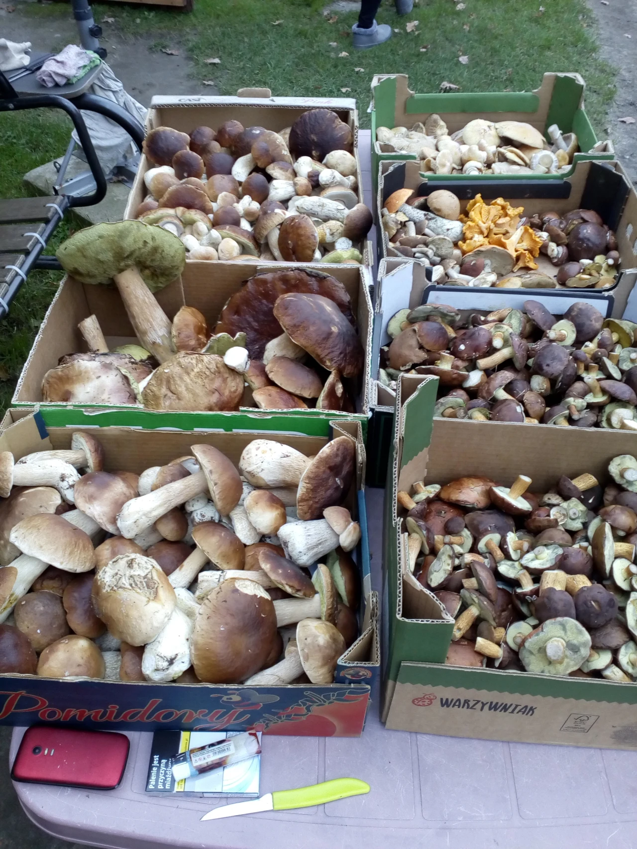 Trofea Zbyszka pochodzą z okolic Koszalina Trofea Zbyszka pochodzą z okolic Koszalina