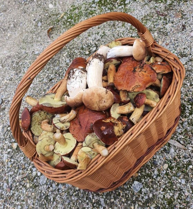 Głogów, woj. dolnośląskie. Zbiory Dawida Głogów, woj. dolnośląskie. Zbiory Dawida