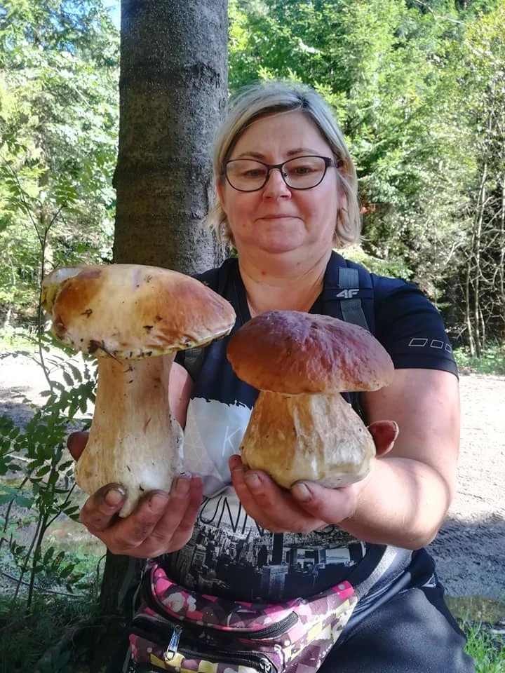 "Takie prawdziwki również w Beskidzie Sądeckim" - pisze Marta. I załącza dowód "Takie prawdziwki również w Beskidzie Sądeckim" - pisze Marta. I załącza dowód