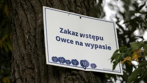 Tabliczka na warszawskiej wyspie