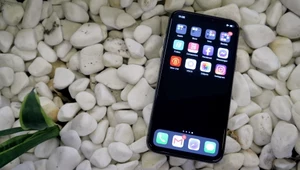 Apple chce, aby iPhone zastąpił dowód osobisty