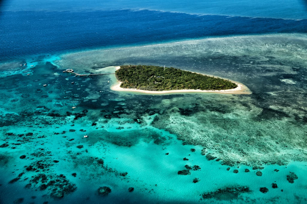 Wielka Rafa Koralowa składa się z blisko 3 tys. indywidualnych raf
