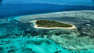 Wielka Rafa Koralowa składa się z blisko 3 tys. indywidualnych raf