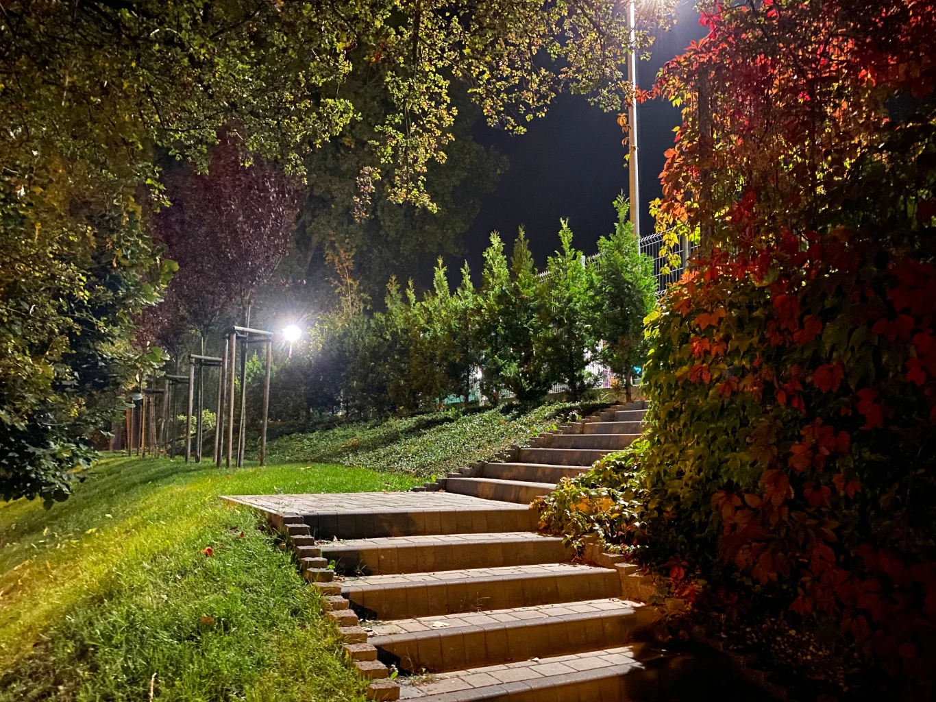 Zdjęcie wykonane iPhone 11 Pro - tryb nocny Zdjęcie wykonane iPhone 11 Pro - tryb nocny