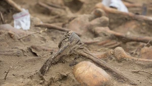 Ludzkie szczątki; zdj. ilustracyjne