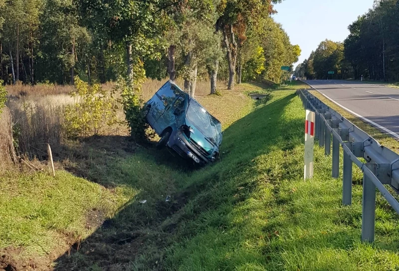 Zaczęło się w niedzielę rano od próby omijania zwierzęcia...