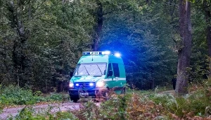 Teren, na którym doszło do eksplozji niewybuchu w kompleksie leśnym w pobliżu Kuźni Raciborskiej