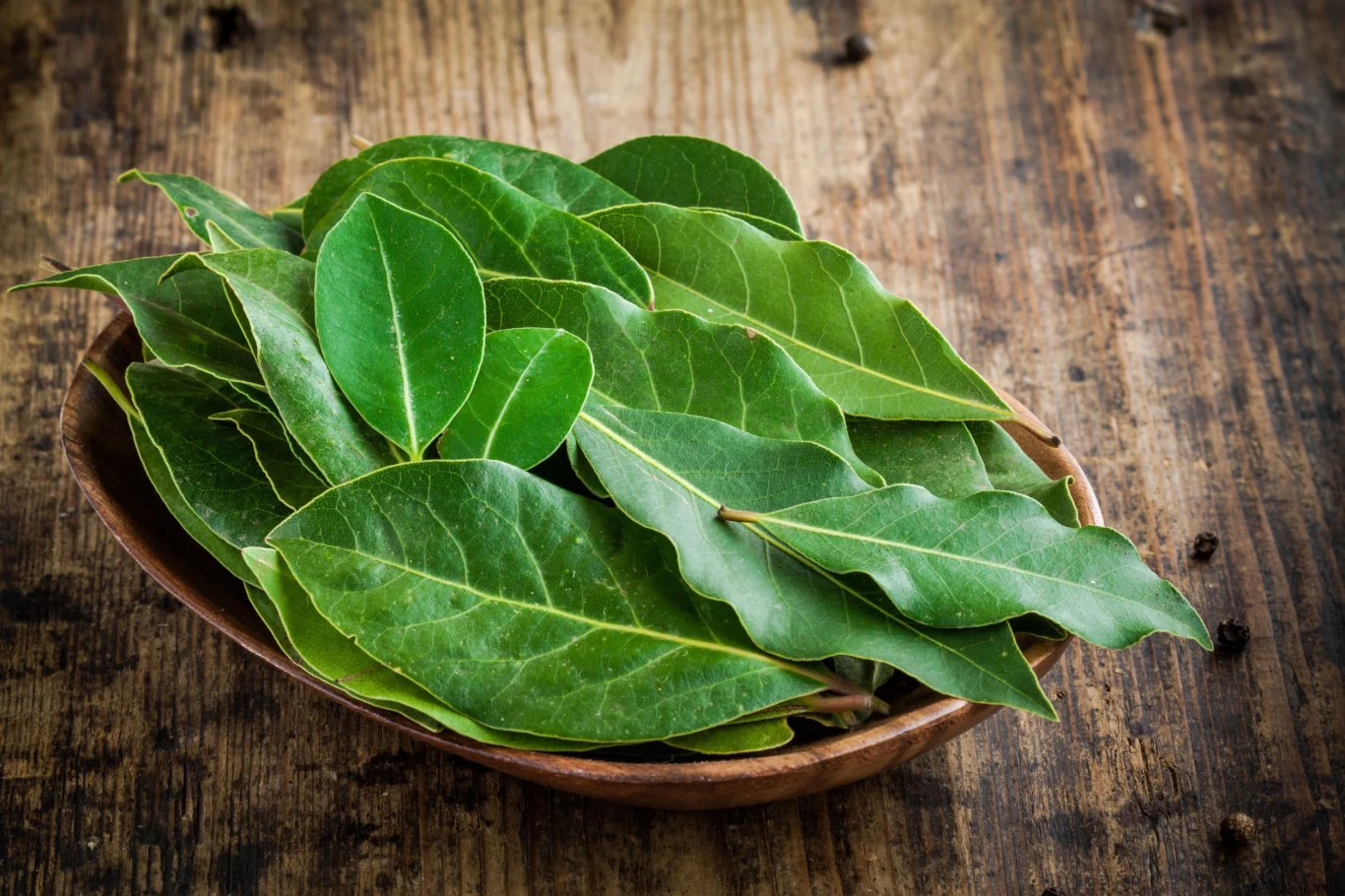 Kąpiel uspokajająca Opakowanie liści laurowych wrzuć do 500 ml wrzątku. Gotuj ok. 5 minut. Dolej do wody w wannie. W kąpieli spędź 15-20 min.