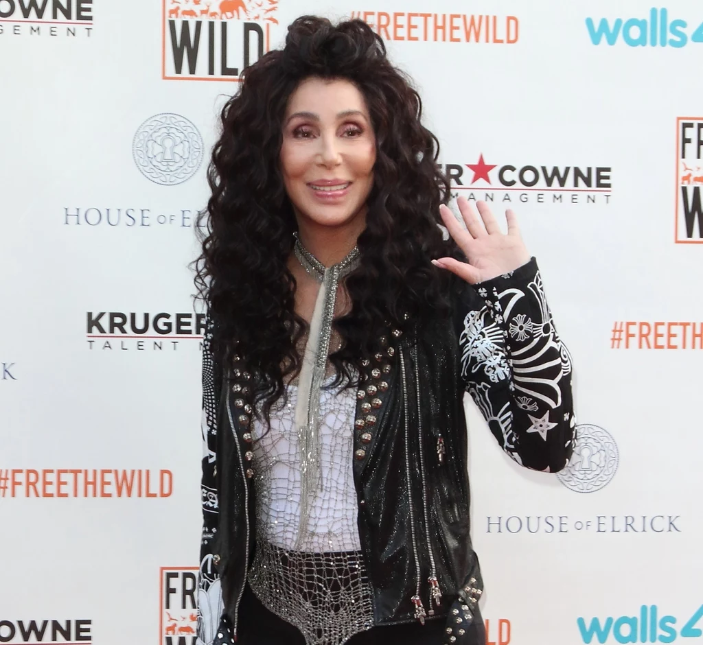 Prawdziwa kreatorka trendów, Cher rozpoczęła karierę muzyczną od rozwoju hipisowskiego ruchu