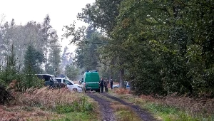 Teren, na którym doszło do eksplozji niewybuchu w kompleksie leśnym w pobliżu Kuźni Raciborskiej