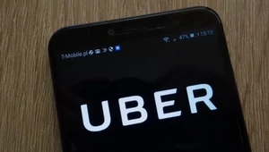 Uber wprowadzi funkcję przyjazną zwierzakom