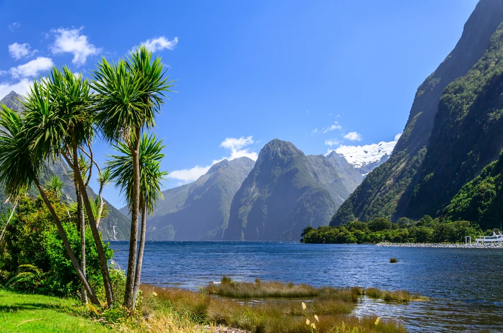 Park Narodowy Fiordland to największy park narodowy w tym kraju. Jego obszar to 12 500 km 2. Park Narodowy Fiordland to największy park narodowy w tym kraju. Jego obszar to 12 500 km 2.