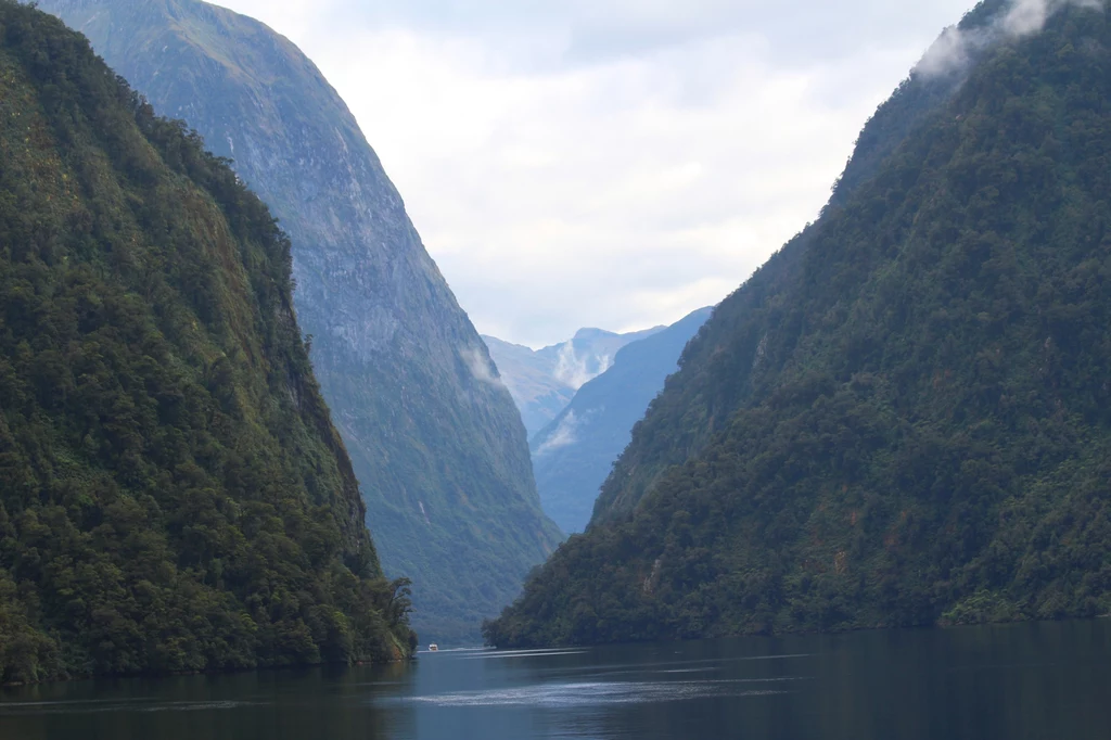 Najbardziej znany z fiordów to Fiord Milforda. Wielką atrakcją są rejsy jego wodami. Ale piesze wycieczki na tych terenach też mogą dostarczyć niezapomnianych wrażeń. Najbardziej znany z fiordów to Fiord Milforda. Wielką atrakcją są rejsy jego wodami. Ale piesze wycieczki na tych terenach też mogą dostarczyć niezapomnianych wrażeń.
