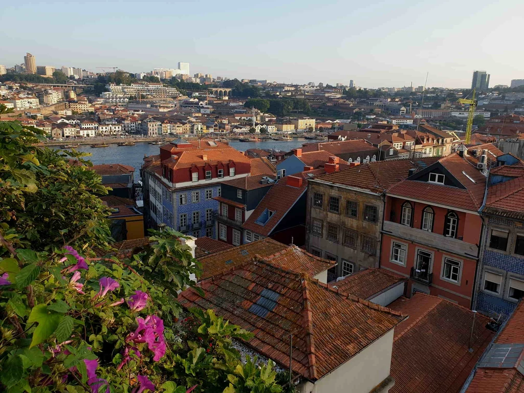 Widok na budynki i rzekę Douro w Porto
