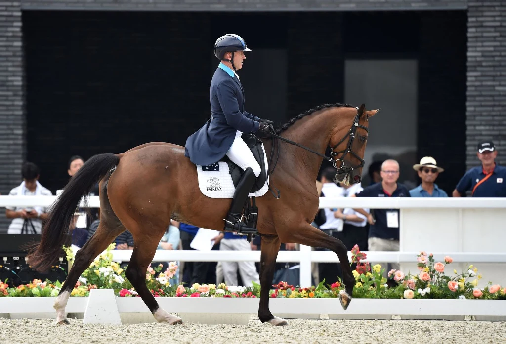 Andrew Hoy Andrew Hoy