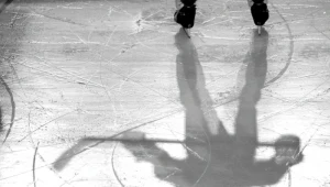 PHL. Mecz Jastrzębie – Katowice 31 października