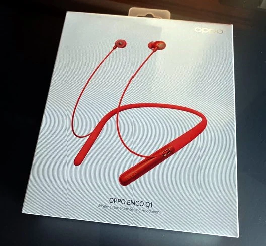 Oppo Enco Q1 Oppo Enco Q1