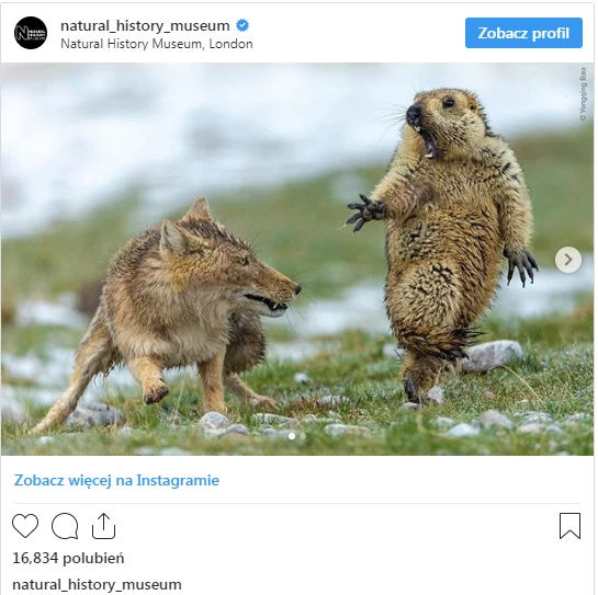 / /