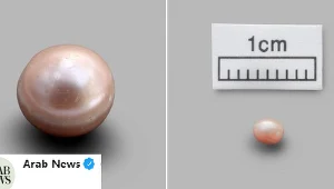 Najstarsza na świecie perła. Ma ok. 8 tys. lat
