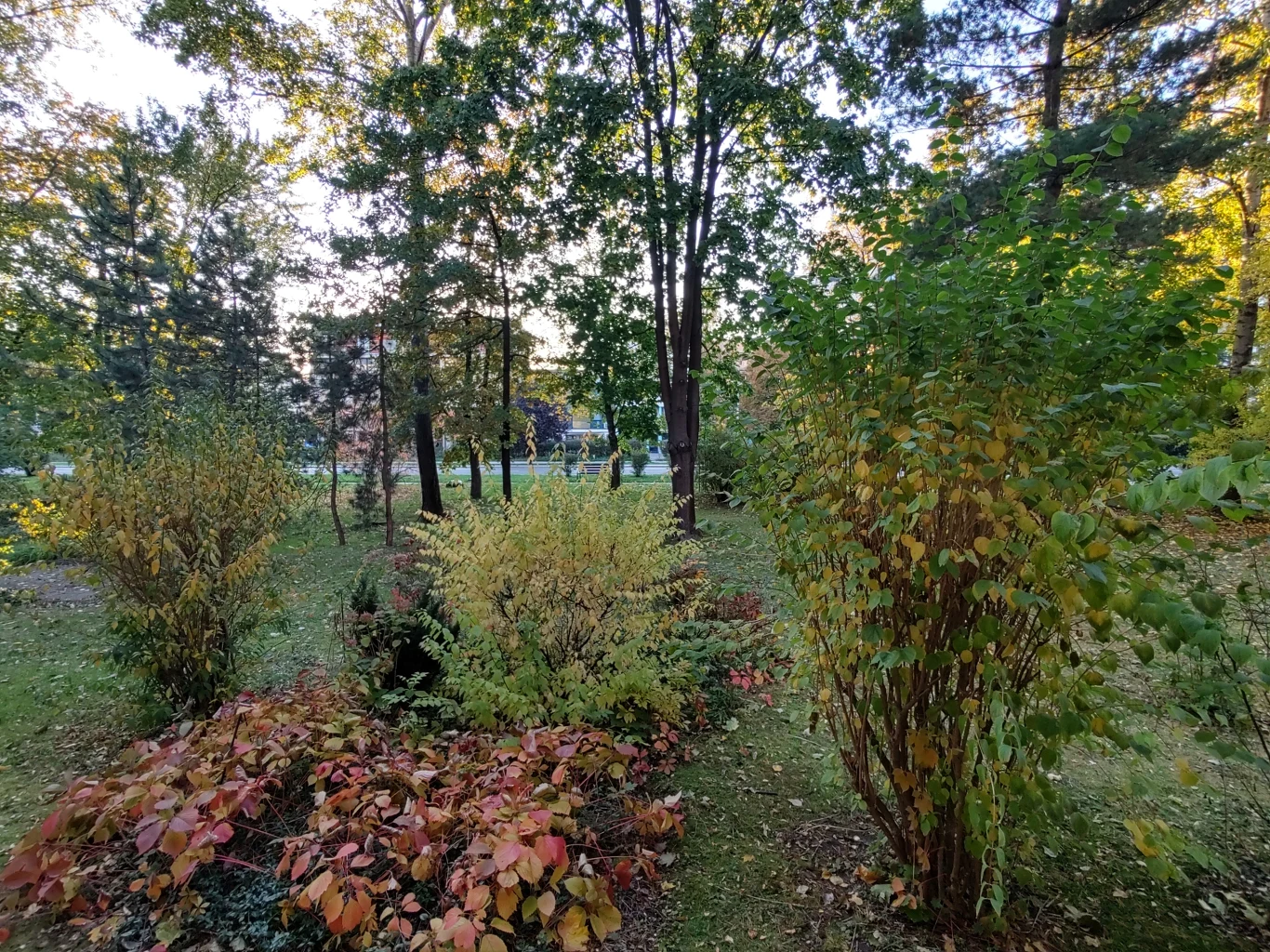 Motorola One Zoom - zdjęcia