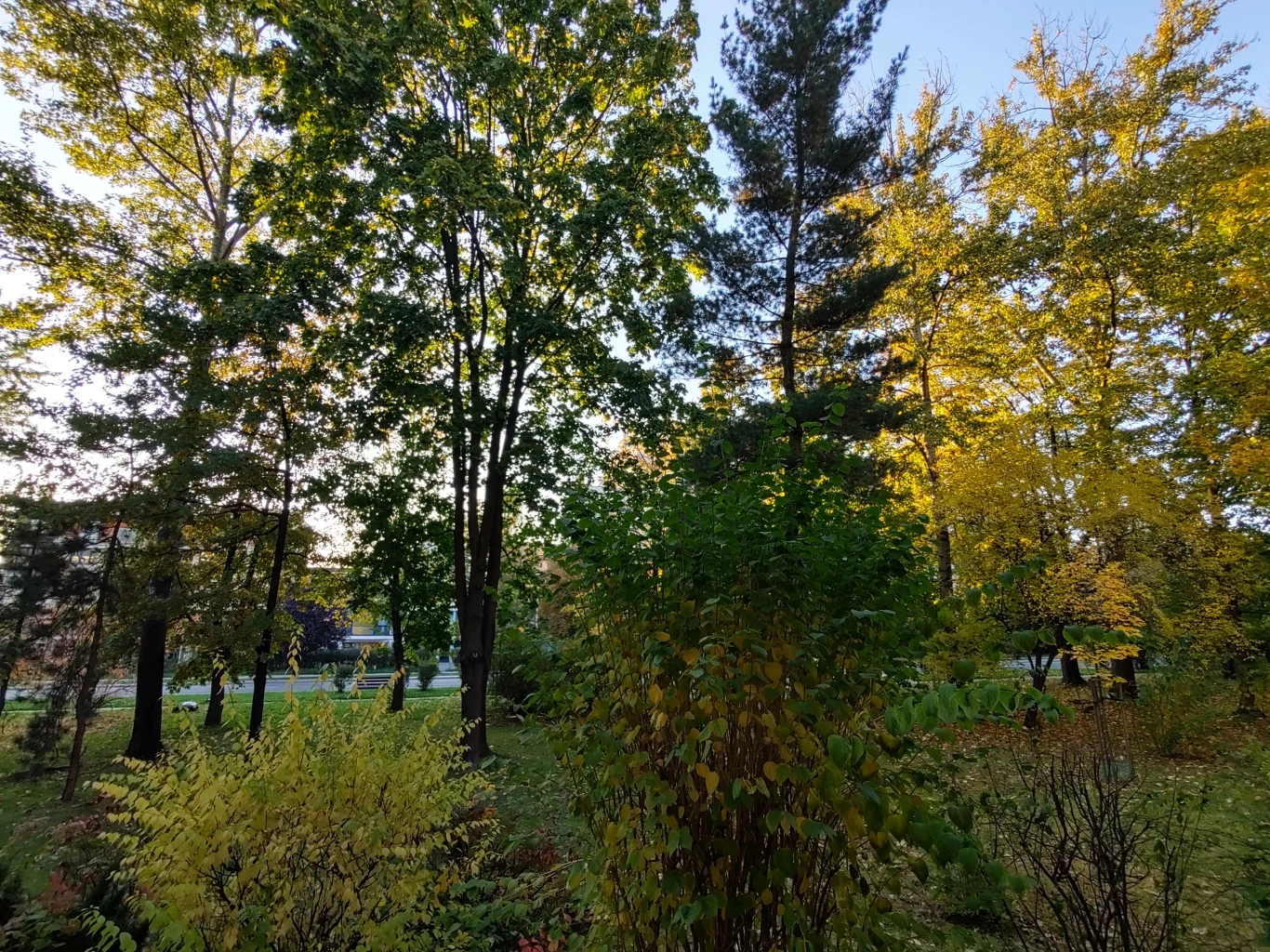 Motorola One Zoom - zdjęcia