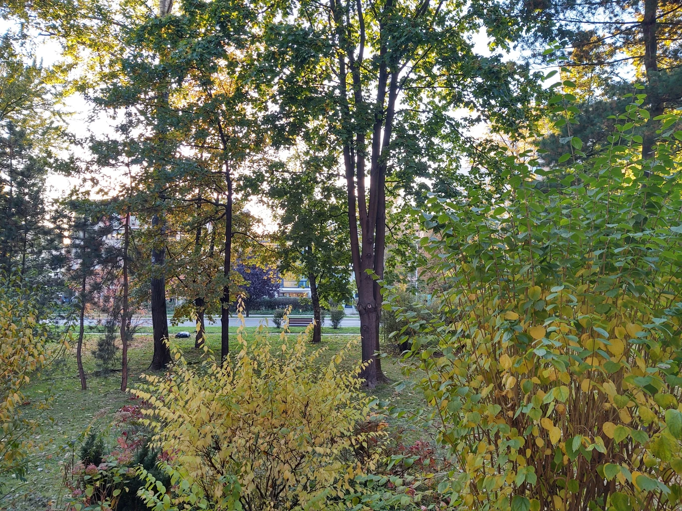 Motorola One Zoom - zdjęcia